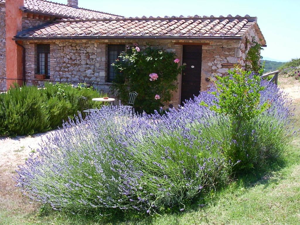 Podere Costa Romana Narni Eksteriør bilde